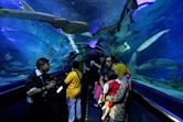 Aquaria KLCC