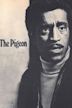 The Pigeon (1969 film)
