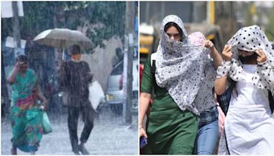Tamil Nadu Rains Update: Dry Weather Returns After Week Of Relief