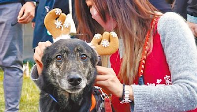 換季鼻塞惱人 常因過敏性鼻炎 - 生活新聞