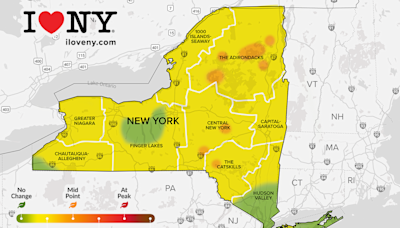 Where is the peak foliage in NY? Latest foliage report and map shows where to see the best