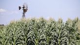 Corn-for-jet fuel credit gets lukewarm reception | Arkansas Democrat Gazette