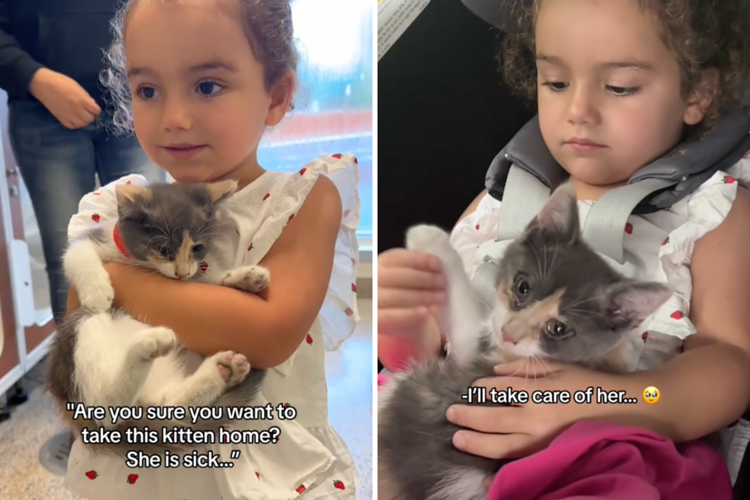 Sick cat finds forever home after three-year-old girl vows to care for her