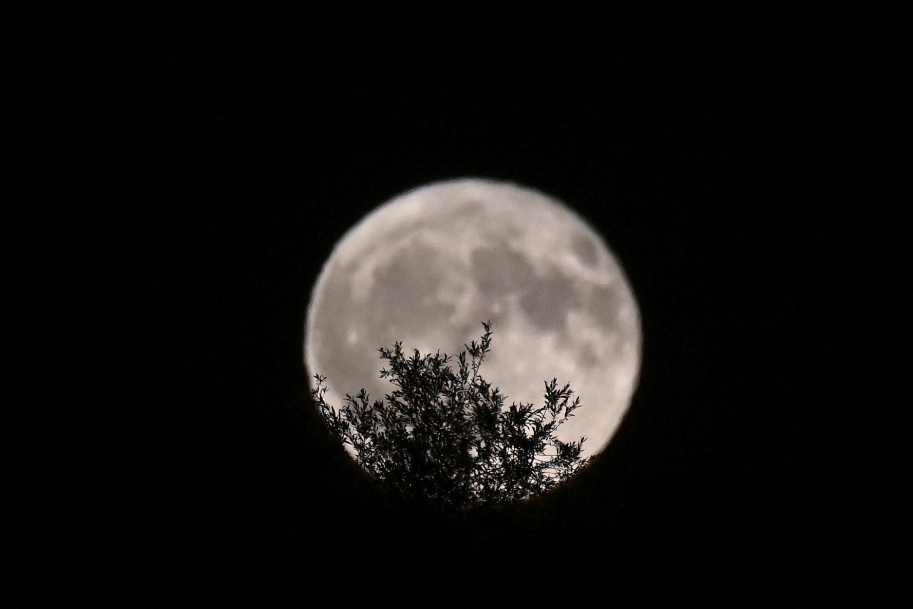 By a technicality, August's full moon is blue. Here's why.