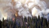 Sprinklers Installed to Protect Historic Sequoias amid Washburn Fire at Yosemite National Park