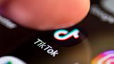 TikTok to launch online election centres to counter misinformation