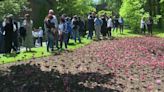 Hundreds gather in White Plains for unveiling of installation that honors Oct. 7 massacre victims