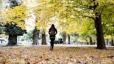 Pronóstico del tiempo en Mendoza: sin lluvias, anticiparon que subirán las temperaturas el fin de semana