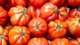 The Dos And Don'ts Of Potting Beefsteak Tomatoes, According To A Garden Expert