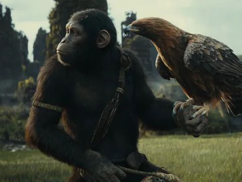 Andy Serkis Offered ‘Nothing But Support’ on Kingdom of the Planet of the Apes