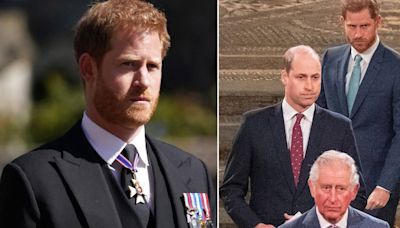 King Charles and Prince William 'freezing Harry out' during 'critical' time