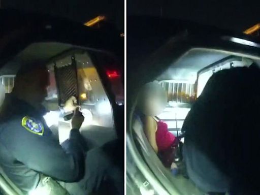 'Are you single?' California cop resigns after locking himself in backseat with female detainee