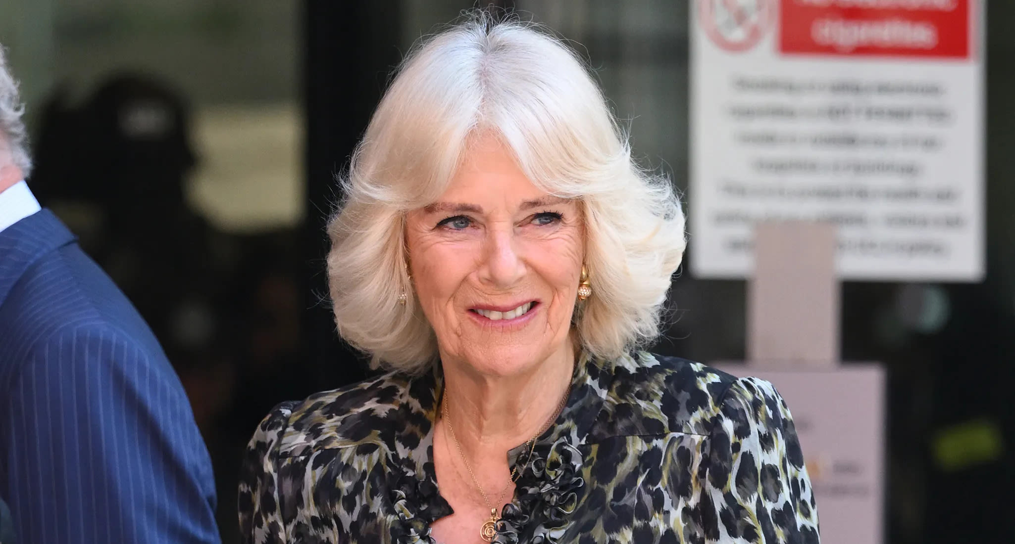 Queen Camilla Has Conditions If Harry Wants To Meet King Charles