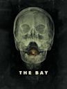 The Bay (film)