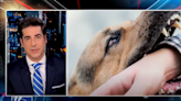 Fox News’ Jesse Watters claims he was bitten by a Democrat’s dog
