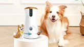 Amazon Pet Day deal: Save 30% on a Furbo 360° smart dog camera