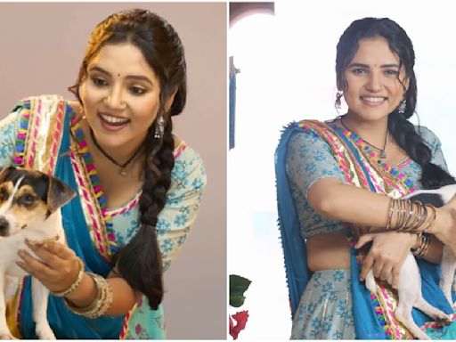 Vasudha Episode TWIST: Meet Vasu’s Best Friend Gulki, The Talking Dog On Zee TV Show - DEETS