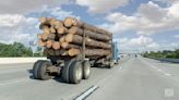 US and Canada battle over lumber imports