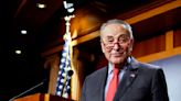 Schumer celebrates expanded Senate majority with Georgia win: 'It's big'