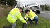 Atlantic City Electric Volunteers Help Save Turtles