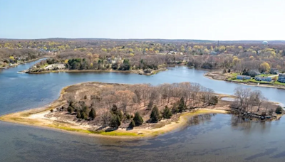 Island gifted to Roger Williams for sale | ABC6