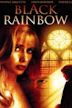 Black Rainbow – Schwarzer Regenbogen