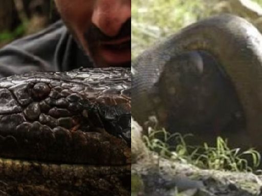 'Her Mouth Opened & Everything Went Black': Man Who Was Swallowed By An Anaconda Shares His Story