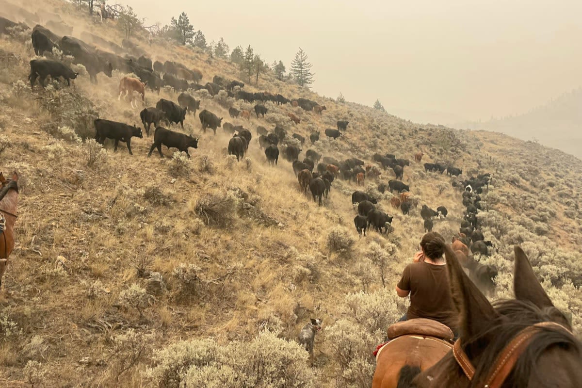 Shetland Creek wildfire more than doubles in size overnight