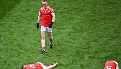 National reporters give their verdicts on Louth senior footballers’ season