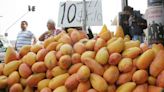 El mango contiene antioxidantes que protegen los ojos de la luz solar