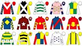 Grand National runners: Pinstickers' guide to 2024 Aintree race