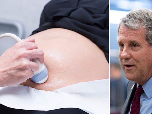 'Pregnant persons': Ohio Sen Sherrod Brown scrubbed 'women' from bill on pregnancy