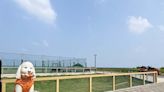 淡水新濱公園啟用 打造足球練習場兼放風毛小孩