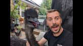 Man won monthslong battle to keep beloved emu in Virginia. But then she fell for Oreo