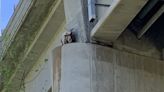 Goat rescued after being stuck on ledge under bridge in Missouri