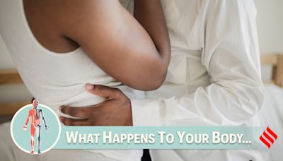 What happens to the body when you stop having sex?