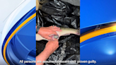 Louisiana man arrested for putting weights in fish for contest