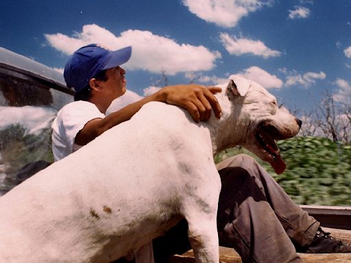 Argentina’s Lisandro Alonso to Direct Sequel to His Lauded ‘La libertad’ (EXCLUSIVE)