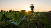 Philip Cobbs Hopes To Preserve History Of Family's 600-Acre Farmland In Virginia