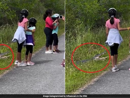 Watch: Parents Make Their Children Pose Next To Alligator For A Pic In US, Internet Is Livid