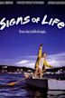 Signs of Life (1989 film)