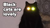 21 Black Cats That Prove How Lucky We Are To Have Them