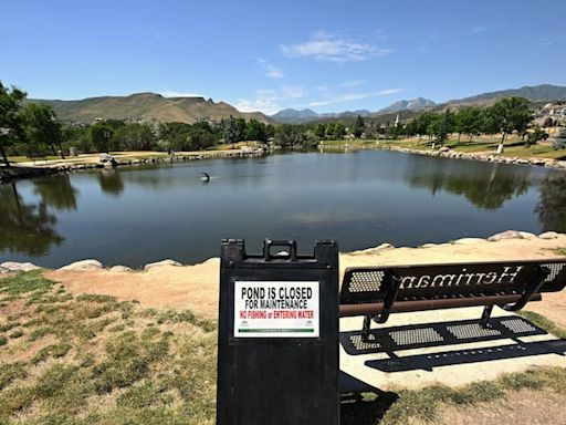 Herriman pond closed after hundreds of fish found dead