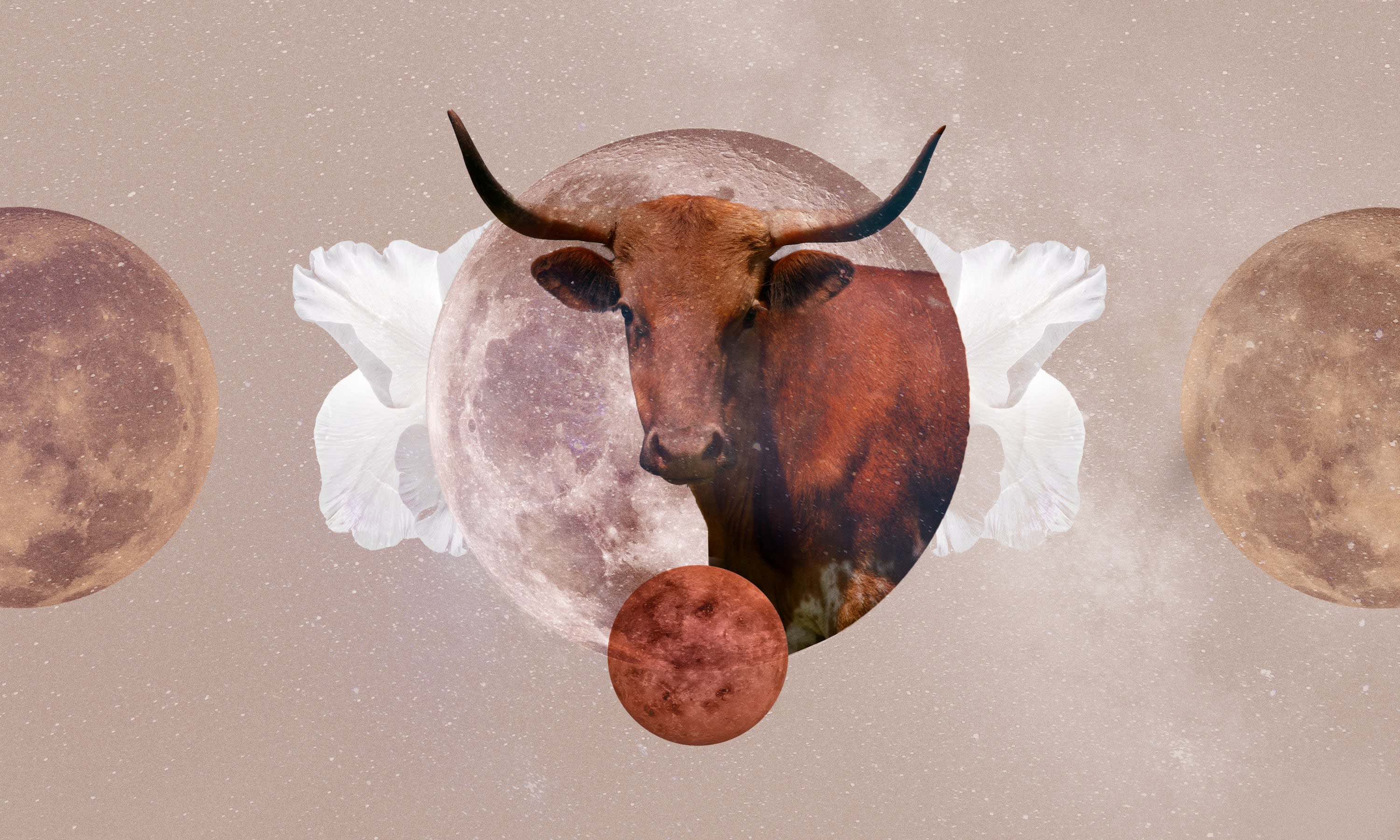 Taurus May 2024 Horoscope: Read Your Monthly Predictions