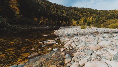 Discovering the highest tides – and freshest lobster – in Canada’s New Brunswick