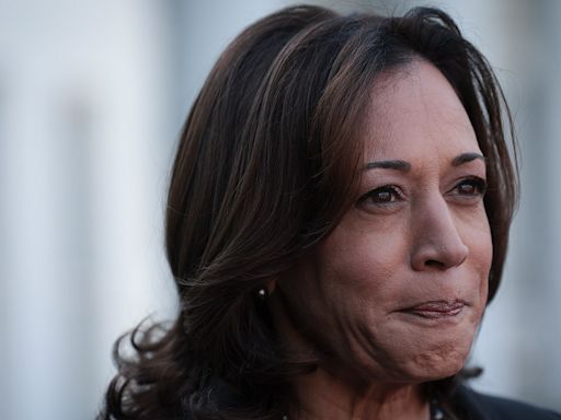 New Yorker reporter urges media to ask Harris actual questions: ‘Job of the press’ to be ‘demanding answers’