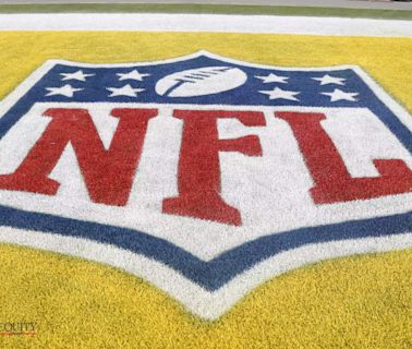 What's next after NFL loses $4.7 billion 'Sunday Ticket' trial - ET BrandEquity