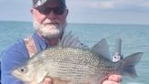 Adrian angler breaks state records with white perch catch