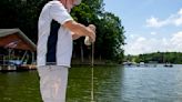 Harmful algae strike again at Lake Anna