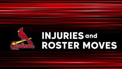 Injuries & Moves: No. 9 prospect Graceffo returns for DH